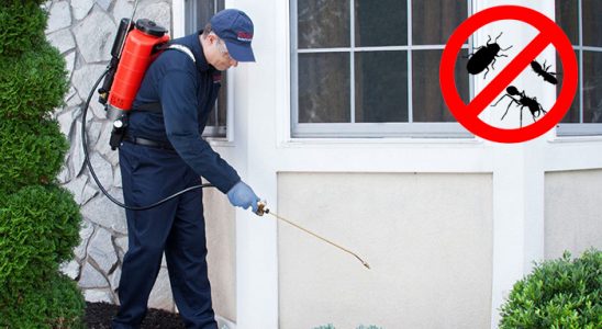 Tutak Kemirgen İlaçlama böcek ilaçlama ve haşere kontrolü — ilaclama-tr.com